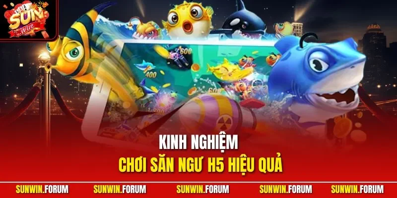 Kinh nghiệm chơi săn ngư H5 hiệu quả